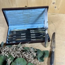 Set 11 Couteaux Inox Coffret