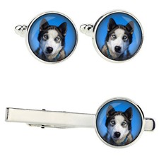 Ensemble De Husky Sibérien