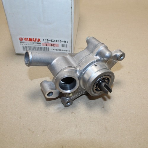 Pompe eau 250 xmax - pompe,