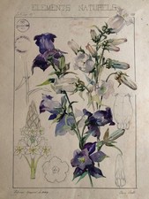 Claire Chotel — Étude de