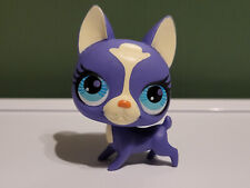 LPS #2750 LITTLEST PETSHOP ORIGINAL AUTHENTIC DOG DOG BOSTON TERRIER HASBRO
