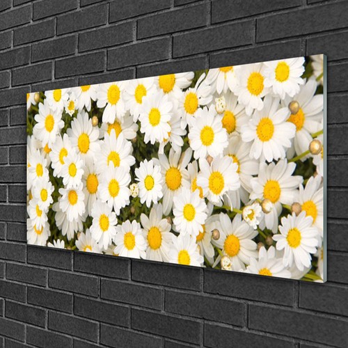 Tableau sur plexiglas - sur, image