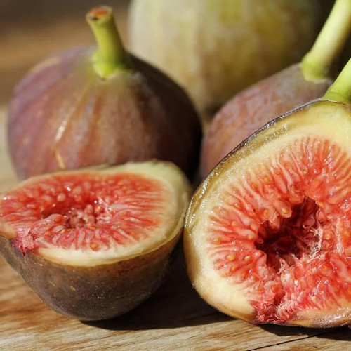 Ficus carica rosce signora - carica, signora'