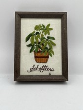 Vintage Framed 1970’s Crewel Framed Schefflera House Plant Embroidery Art