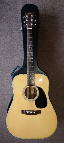 Guitare acoustique vintage