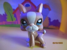 Petshop Dog Boston Terrier #1380