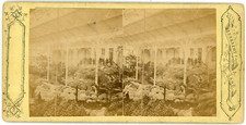 Stereo Belgium, greenhouse interior to identify, flowers, exhibition d&#039;hort