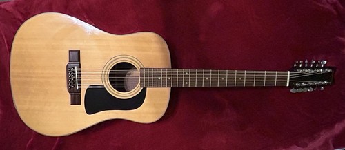 Washburn string - washburn, 12-string