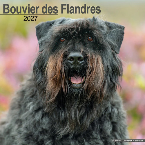 Calendrier 2027 bouvier - 2027,