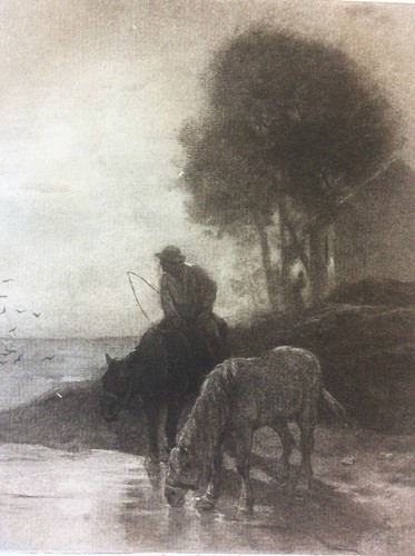 Chevaux abreuvoir - chevaux, l'abreuvoir