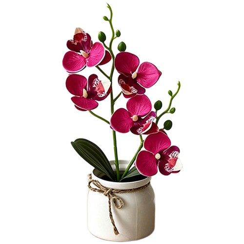 Faux fleur pot orchidée - fleur,
