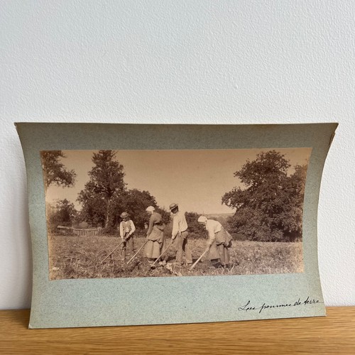 Photo albumine contrecollée