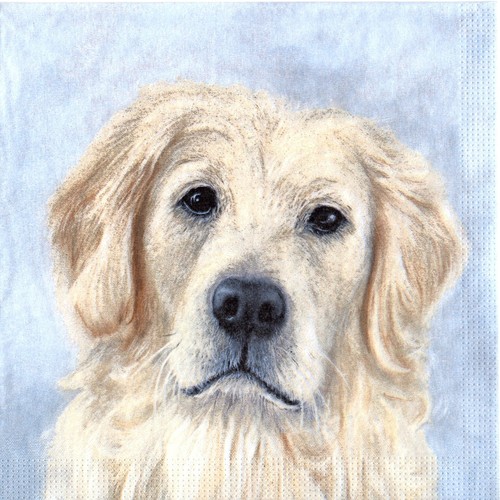 Serviettes papier chien - en,