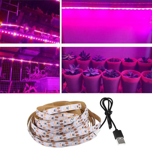 2835 smd led plant - plant,