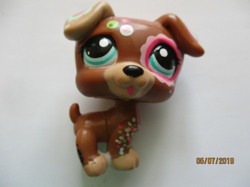 Petshop chien jack russel - petshop,