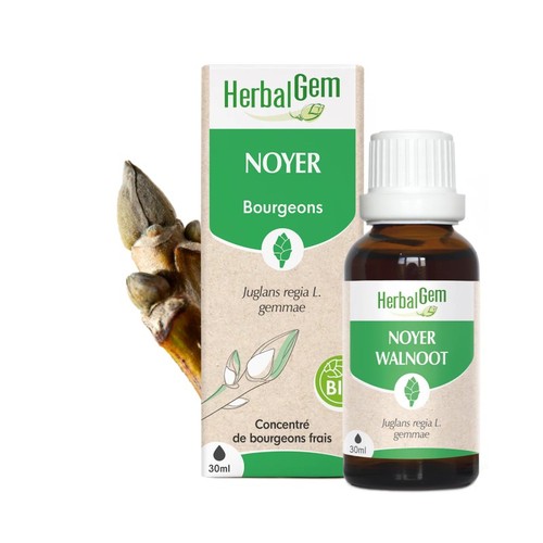 Bourgeons noyer bio - de,
