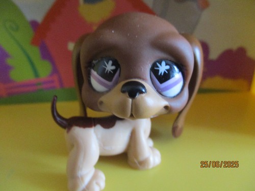 Petshop chien basset hound - chien,