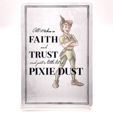 Peter Pan Disney 100 Wonder