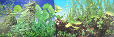 poster fond d aquarium decor plantes double face 150cm x50cm 