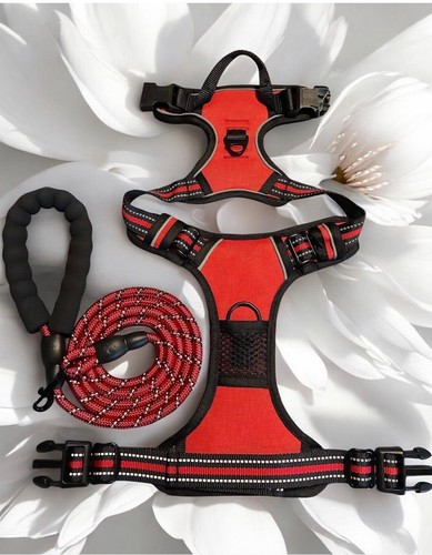 Harnais chien rouge anti - harnais,