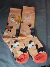 Paire Chaussette chat chaton