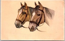 THEMES - HORSES - Two horses [REF/S006491]