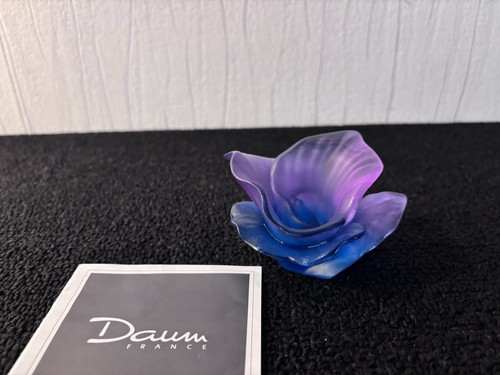 Fleur lotus violet - fleur, bleu