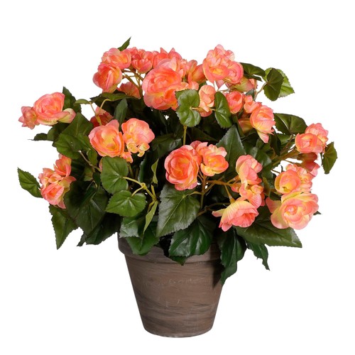 Mica decorations plante - mica,