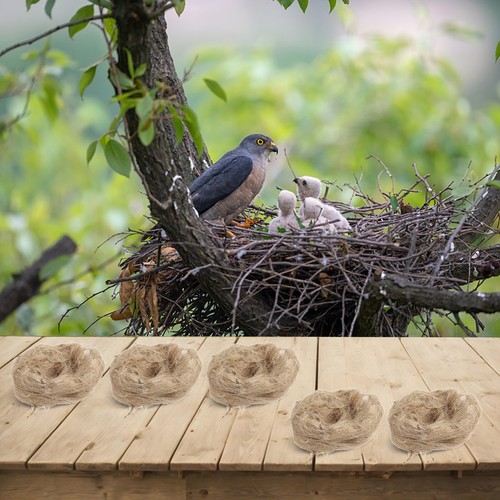 Naturel pour jute nid - jute,
