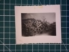 QQ284 photo VGC Algeria 1957 militaria - figs of barbarism