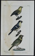 Histoire naturelle Buffon