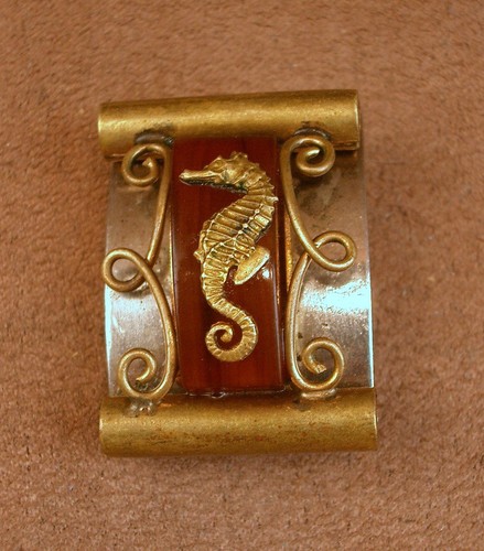 Broche hippocampe jean - hippocampe,