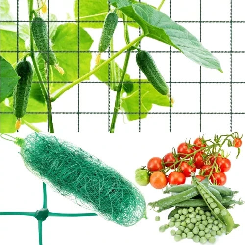 Filet tuteur pour - filet, plantes