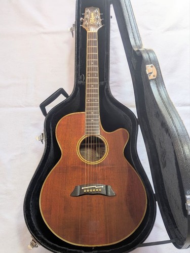 Guitare électrique acoustique