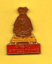 Pin's Lapel Pine Pines Beekeeping GIRARD BEEKEEPERS BEE HIVE