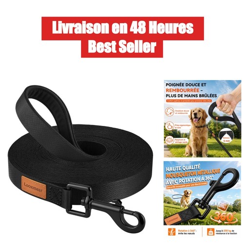 Laisse chien longe dressage - longe, de