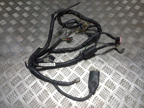 Faisceau électrique complet
