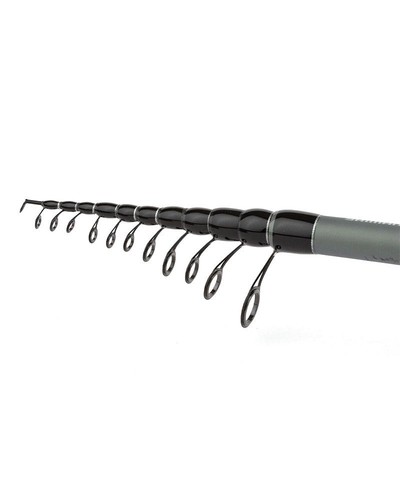 Canne pêche beastmaster - canne,