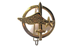 INSIGNE DE BERET DES COMMANDOS DE L'AIR (DRAGO MARNE LA VALLEE)