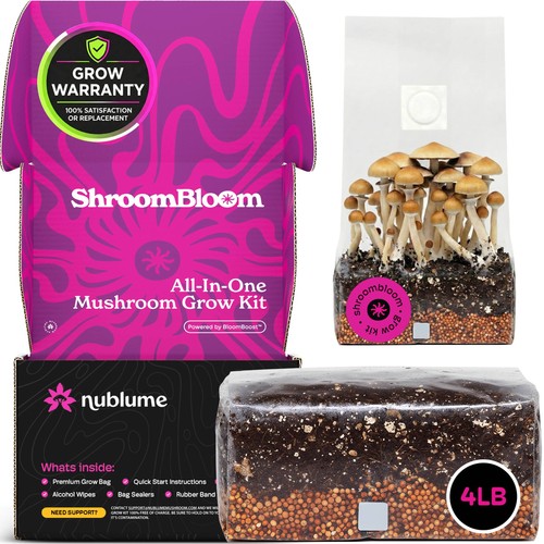 All one mushroom grow - mushroom,