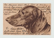 Portrait de Teckel en relief 