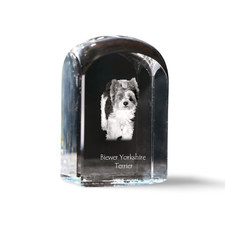 Biewer Terrier, Yorkshire