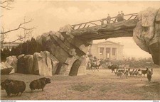 Animaux - Zoo d'Anvers - Jardin Zoologique - Pont ef grand Parc des Ruminants -
