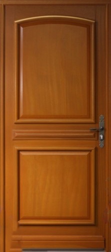Porte entrée bois pleine - porte,