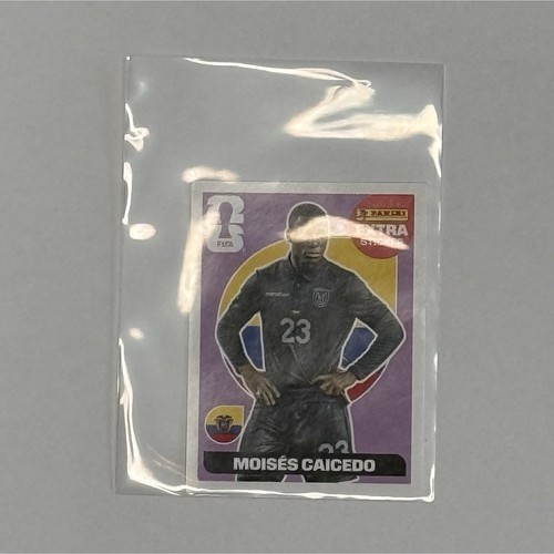 Moises caicedo extra - moises, sticker