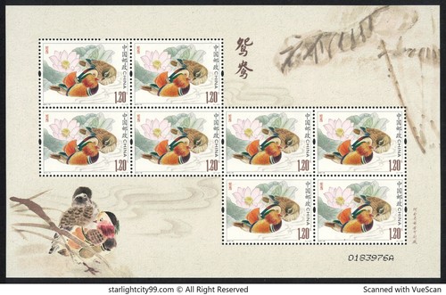 Chine 2015 18 oiseau - de,