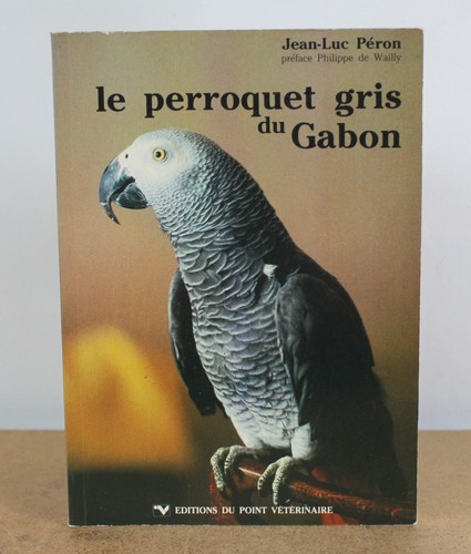 Perroquet gris gabon - gris, du