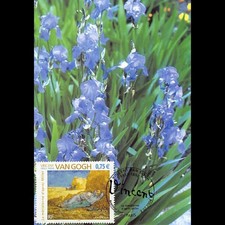 CM CEF - Tableau Vincent Van