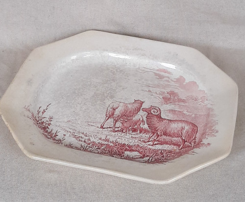 Wedgwood rustic grand - plat, de