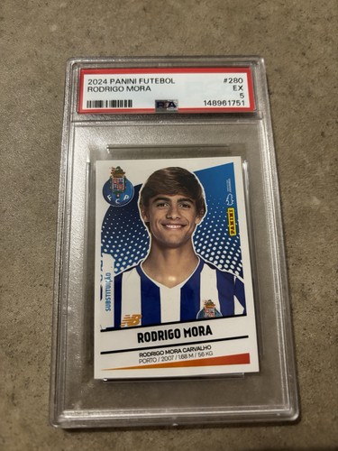 Panini futebol 2024 rodrigo - futebol, 2024-25